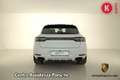Porsche Macan 2.0 Sport Design Bianco - thumbnail 6