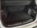 BMW X1 xDrive30e Blanc - thumbnail 20