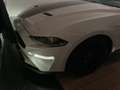 Ford Mustang Mustang 5,0 Ti-VCT V8 GT Cabrio Aut. GT Weiß - thumbnail 9