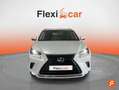 Lexus NX 300 300h Business Navigation 2WD Blanco - thumbnail 2