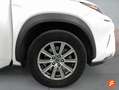 Lexus NX 300 300h Business Navigation 2WD Blanco - thumbnail 9