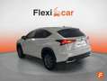 Lexus NX 300 300h Business Navigation 2WD Blanco - thumbnail 3