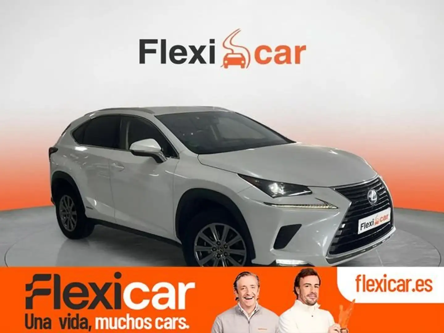Lexus NX 300 300h Business Navigation 2WD Blanco - 1