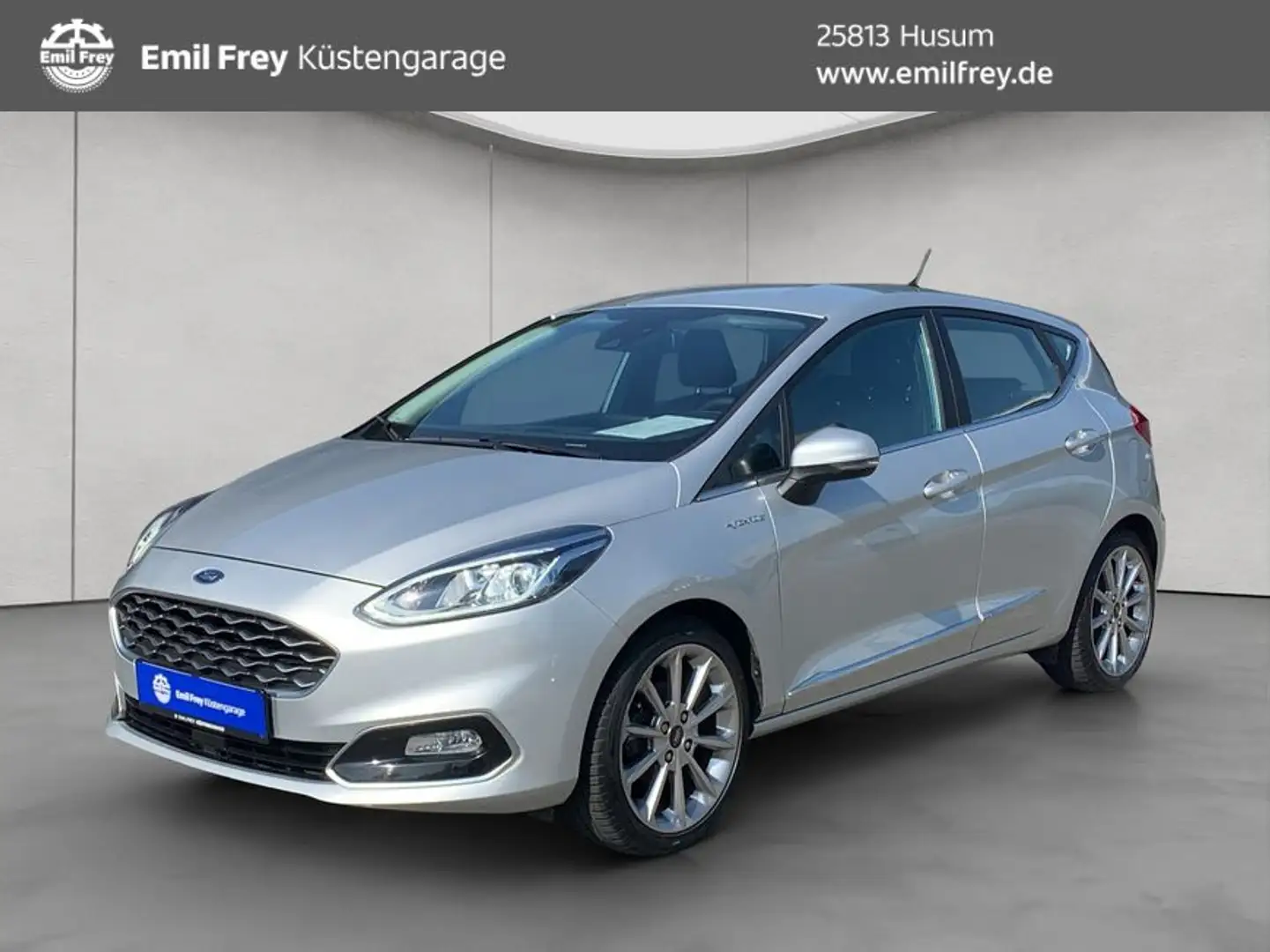 Ford Fiesta 1.0 EcoBoost S&S VIGNALE AHK, GJR, Navi, Silber - 1
