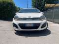 Kia Rio Rio III 2011 5p 1.1 crdi Active Bianco - thumbnail 3
