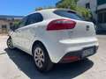 Kia Rio Rio III 2011 5p 1.1 crdi Active Bianco - thumbnail 12