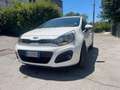 Kia Rio Rio III 2011 5p 1.1 crdi Active Bianco - thumbnail 1