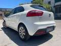 Kia Rio Rio III 2011 5p 1.1 crdi Active Bianco - thumbnail 13