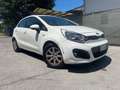 Kia Rio Rio III 2011 5p 1.1 crdi Active Bianco - thumbnail 2