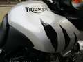 Triumph Tiger 955i Viele Extras   Topzustand Argent - thumbnail 12
