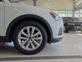 Audi Q3 35 TDI intense Weiß - thumbnail 6