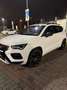 CUPRA Ateca Basis 4Drive Weiß - thumbnail 6