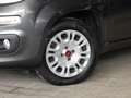 Fiat Panda 1.2 Easy KLIMA ZV ISOFIX RADIO Grau - thumbnail 11