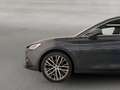 SEAT Leon Xcellence 2.0 TDI Grau - thumbnail 8