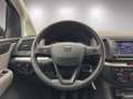 SEAT Alhambra 2.0 TDI Ecomotive Business Grau - thumbnail 8