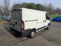 Fiat Ducato L1H1 35 2.0 115 CV PREZZO REALE - thumbnail 2