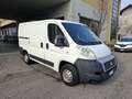 Fiat Ducato L1H1 35 2.0 115 CV PREZZO REALE - thumbnail 3