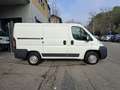 Fiat Ducato L1H1 35 2.0 115 CV PREZZO REALE - thumbnail 5