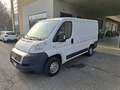 Fiat Ducato L1H1 35 2.0 115 CV PREZZO REALE - thumbnail 1