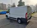 Fiat Ducato L1H1 35 2.0 115 CV PREZZO REALE - thumbnail 4