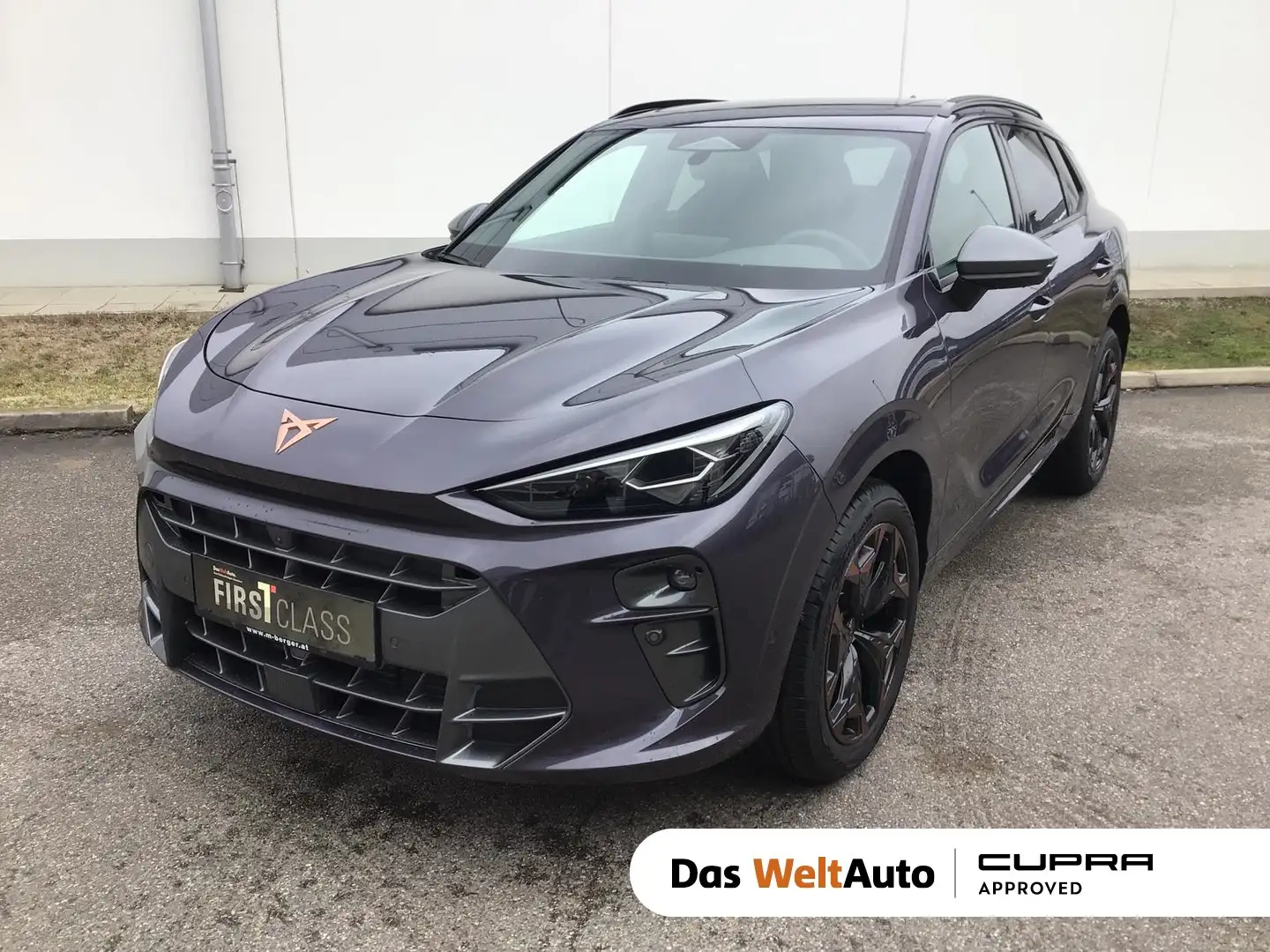CUPRA Terramar 1.5 e-TSI 150 PS DSG Violett - 1