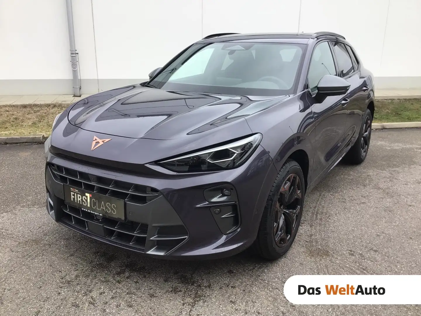 CUPRA Terramar 1.5 e-TSI 150 PS DSG Violett - 1