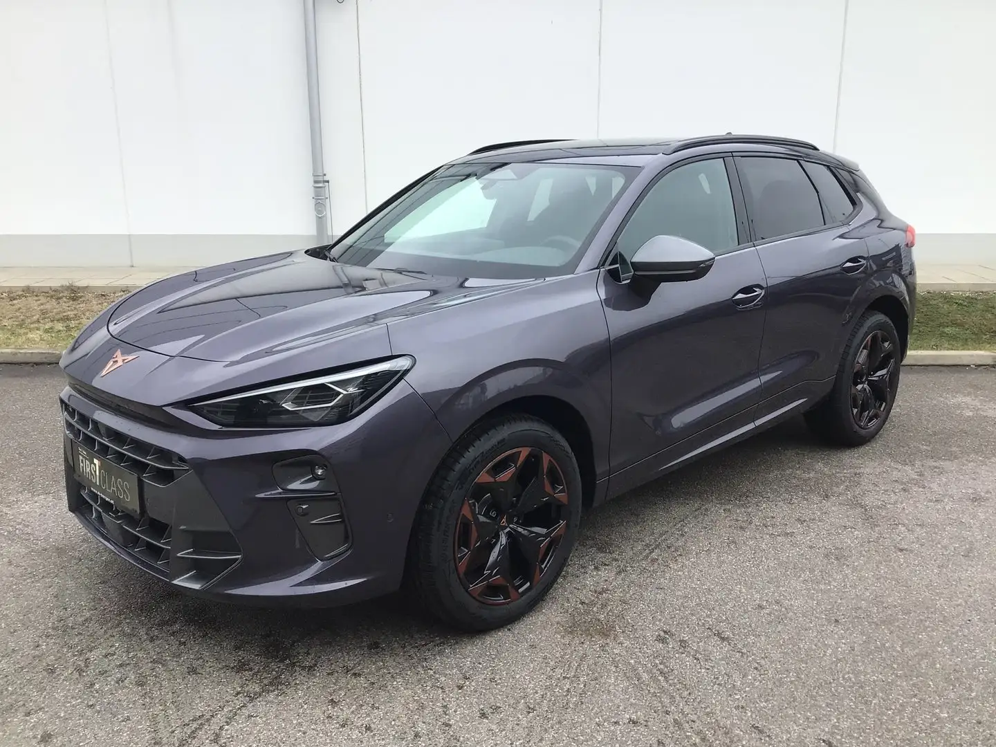 CUPRA Terramar 1.5 e-TSI 150 PS DSG Violett - 2