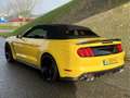 Ford Mustang Convertible GT 5.0 Cabrio Geel - thumbnail 32
