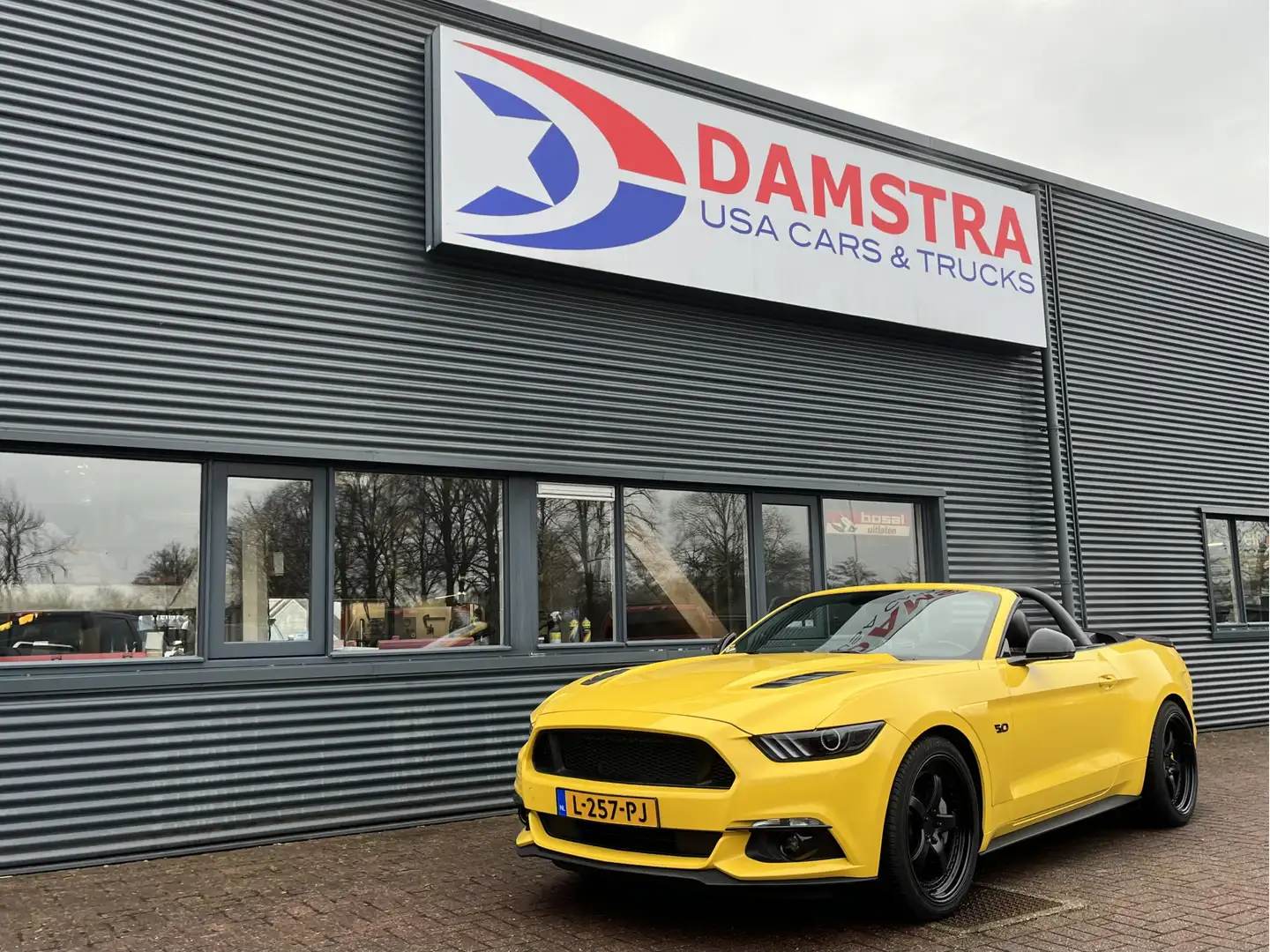 Ford Mustang Convertible GT 5.0 Cabrio Yellow - 1