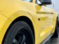 Ford Mustang Convertible GT 5.0 Cabrio Yellow - thumbnail 12