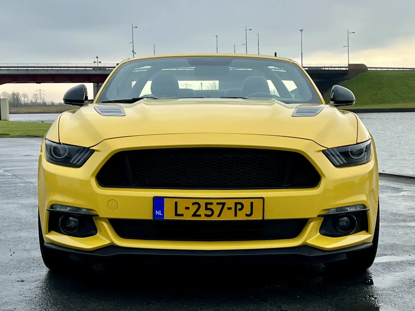 Ford Mustang Convertible GT 5.0 Cabrio Yellow - 2
