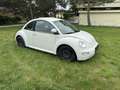 Volkswagen New Beetle TDI - thumbnail 1