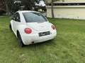 Volkswagen New Beetle TDI - thumbnail 2