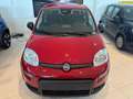 Fiat Panda 1.0 FireFly S&S Hybrid Pandina Rosso - thumbnail 6