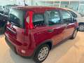 Fiat Panda 1.0 FireFly S&S Hybrid Pandina Rosso - thumbnail 4