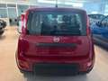 Fiat Panda 1.0 FireFly S&S Hybrid Pandina Rosso - thumbnail 3