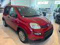 Fiat Panda 1.0 FireFly S&S Hybrid Pandina Rosso - thumbnail 5