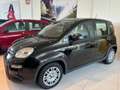 Fiat Panda 1.0 FireFly S&S Hybrid Pandina Rosso - thumbnail 13