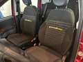 Fiat Panda 1.0 FireFly S&S Hybrid Pandina Rosso - thumbnail 11