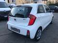 Kia Picanto 1.0 12V EcoGPL 5 porte Active Bianco - thumbnail 5