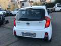 Kia Picanto 1.0 12V EcoGPL 5 porte Active Bianco - thumbnail 6