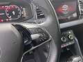 Skoda Karoq Karoq 2,0 TDI SCR 4x4 Ambition DSG Grau - thumbnail 13