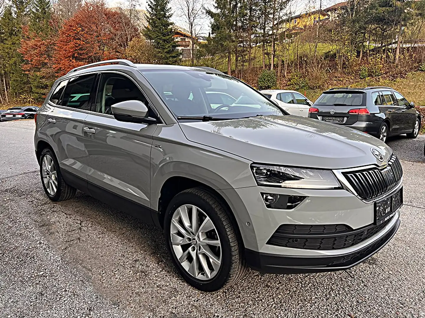 Skoda Karoq Karoq 2,0 TDI SCR 4x4 Ambition DSG Grau - 2