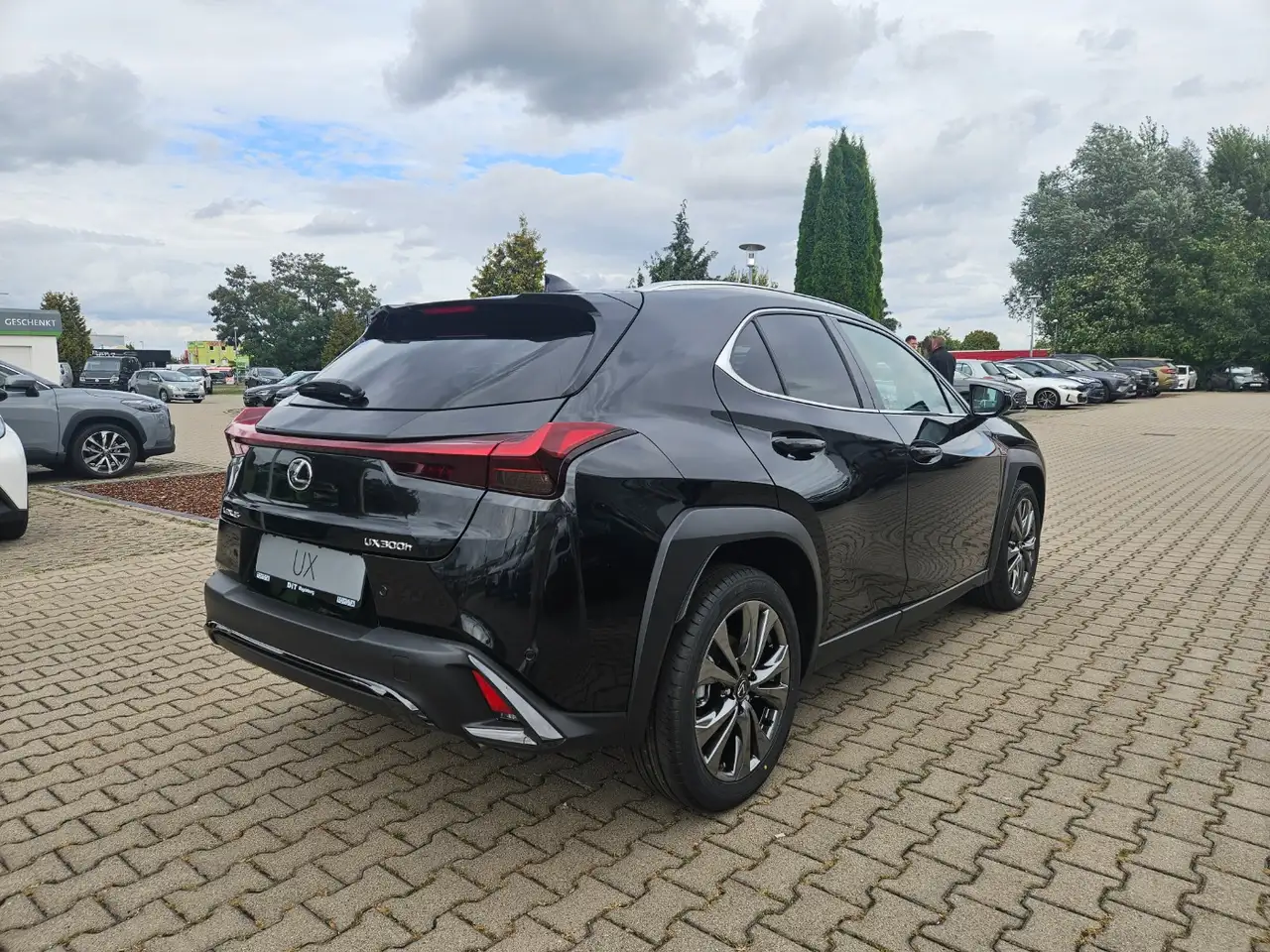 Lexus UX 300h F Sport Design Kamera, SHZ, LED, Navi 10