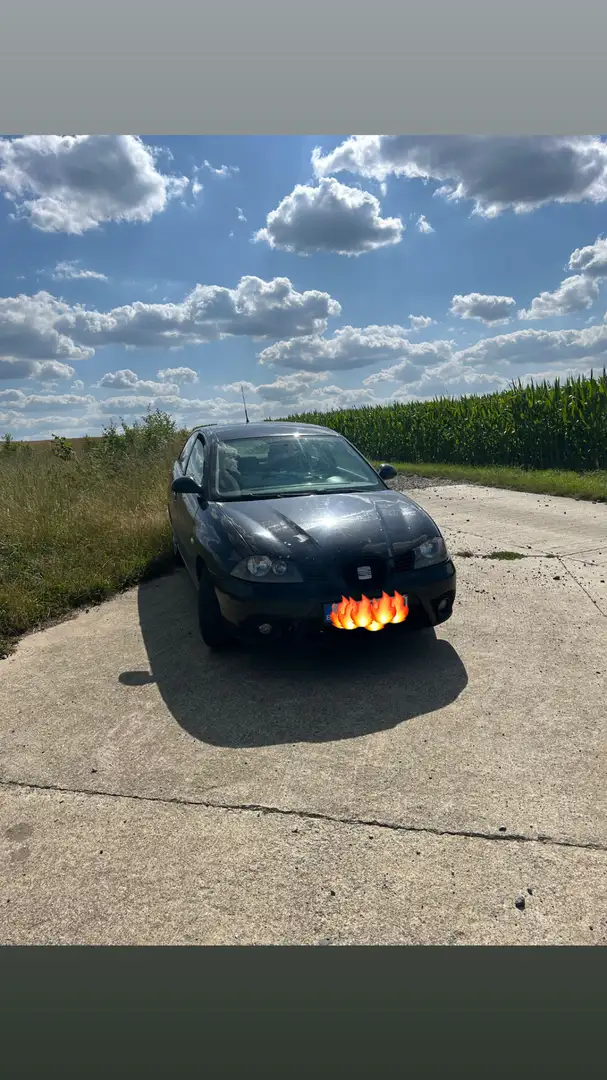 SEAT Ibiza 1.9 TDi Stylance - 1