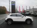 Mazda CX-30 CX-30 SKYACTIV-G 2.0 M-Hybrid Blanc - thumbnail 5