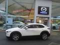 Mazda CX-30 CX-30 SKYACTIV-G 2.0 M-Hybrid Blanc - thumbnail 4