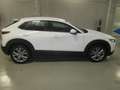 Mazda CX-30 CX-30 SKYACTIV-G 2.0 M-Hybrid Blanc - thumbnail 12