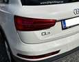 Audi Q3 Q3 2,0 TDI Intense quattro Intense Weiß - thumbnail 4