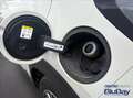 Ford Puma 1.0 EcoBoost Hybrid 125 CV S&S Titanium Grau - thumbnail 22